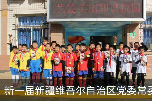 新一届新疆维吾尔自治区党委常委简历