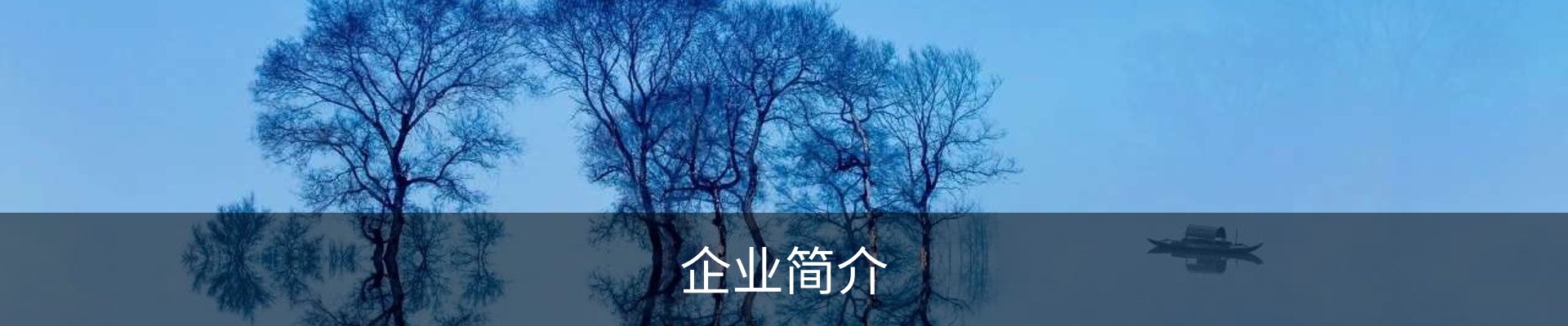 企业简介